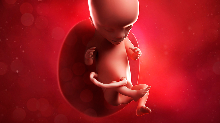 6 mylných představ o vašem nenarozeném dítěti (a těhotenství)